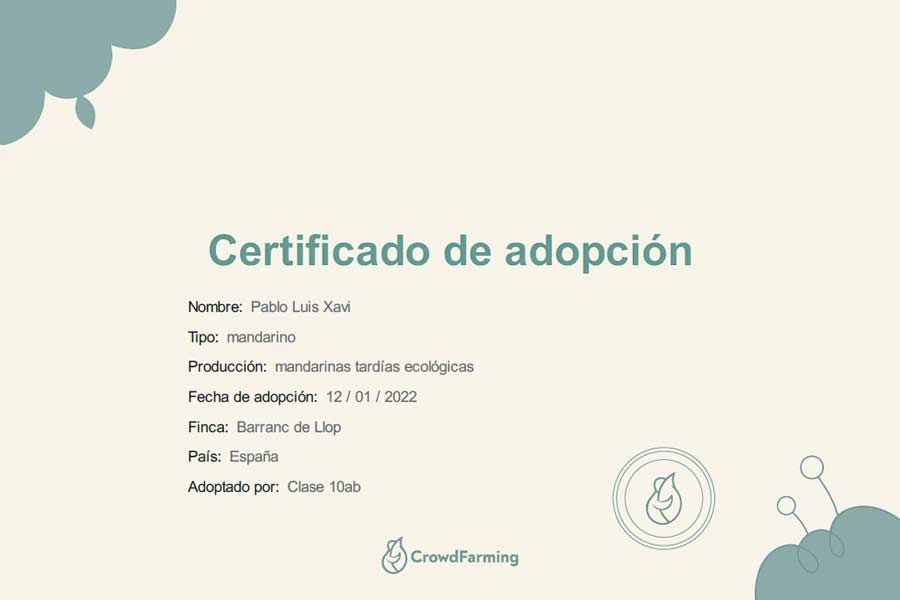 Certificado De Adopcion
