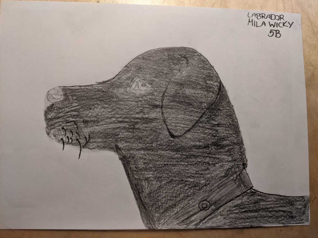 SMV Motivations-Challenge