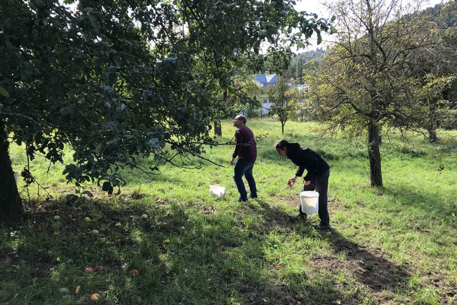 Streuobstwiesen AG Pfinztal 3